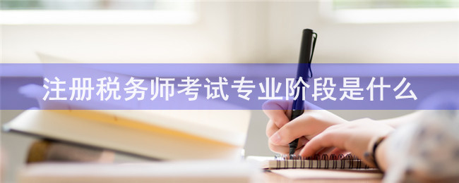 注册税务师考试专业阶段是什么