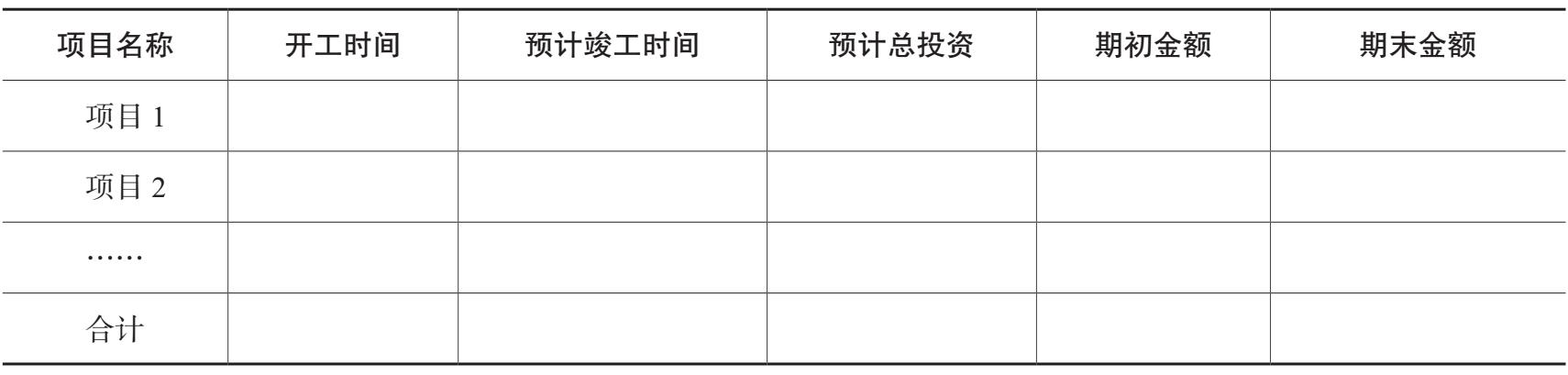 开发成本明细表