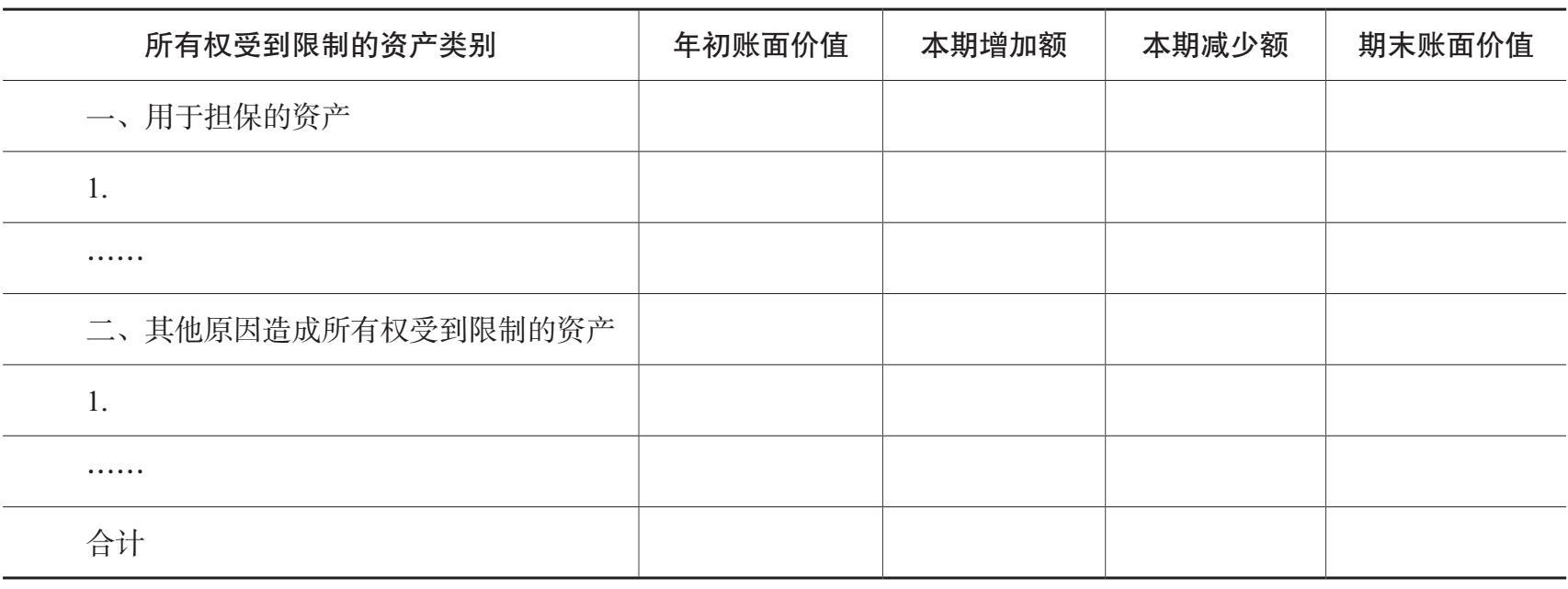 受限资产明细表