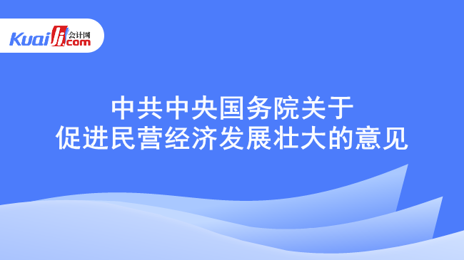 中共中央国务院关于促进民营经济发展壮大的意见