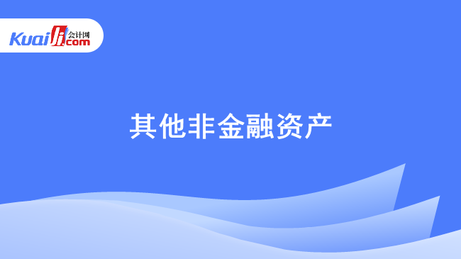 其他非金融资产