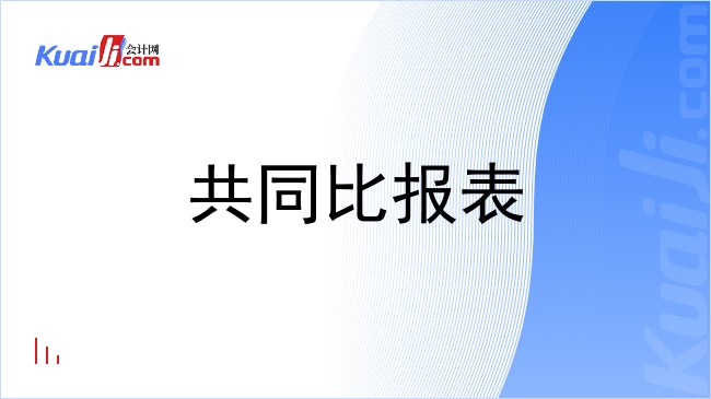 共同比报表