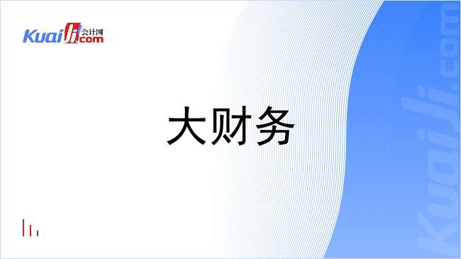 大财务