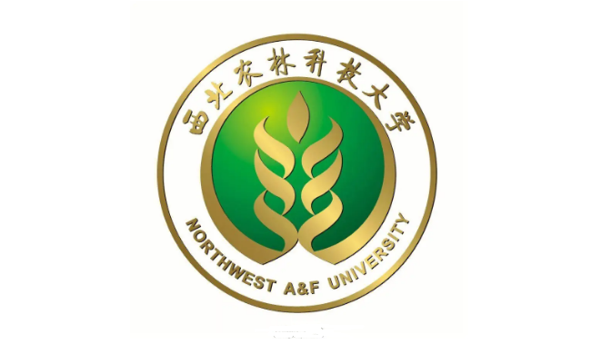 西北农林科技大学CFA菁英实验班