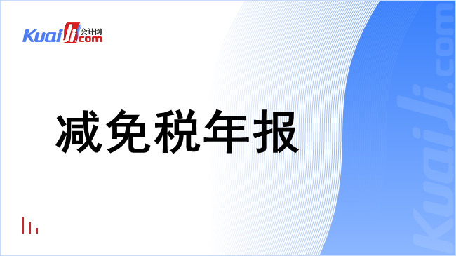 减免税年报