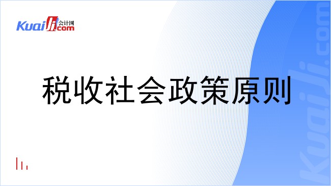 税收社会政策原则