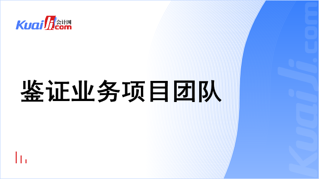 鉴证业务项目团队