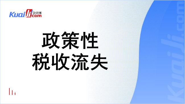 政策性税收流失