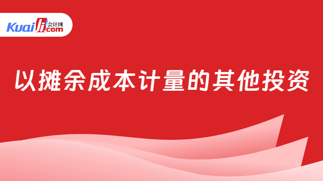 以摊余成本计量的其他投资