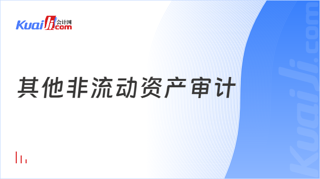 其他非流动资产审计