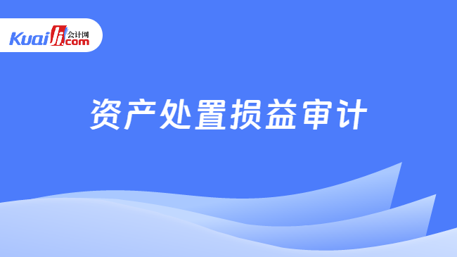 资产处置损益审计