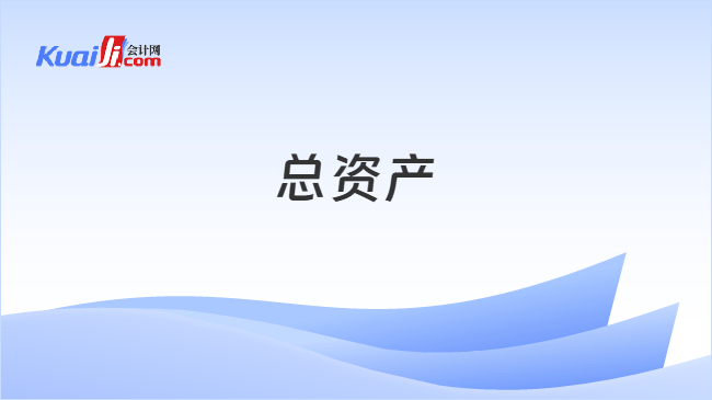 总资产