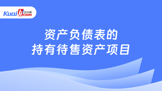 资产负债表的持有待售资产项目