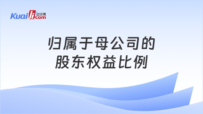 归属于母公司的股东权益比例