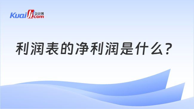 利润表的净利润是什么